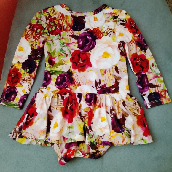 Posh Peanut 3-6 Months Floral Rose Twirl Skirt Infant Bodysuit Dress Long Sleeve - Picture 9 of 10